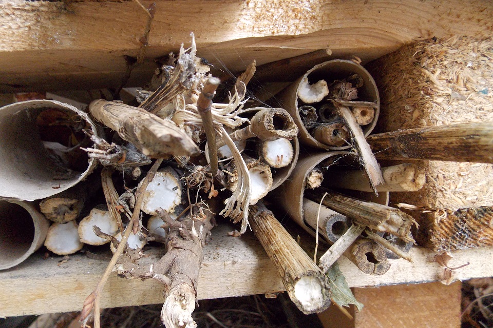 Bee hotel made by pupils at St George’s Primary School