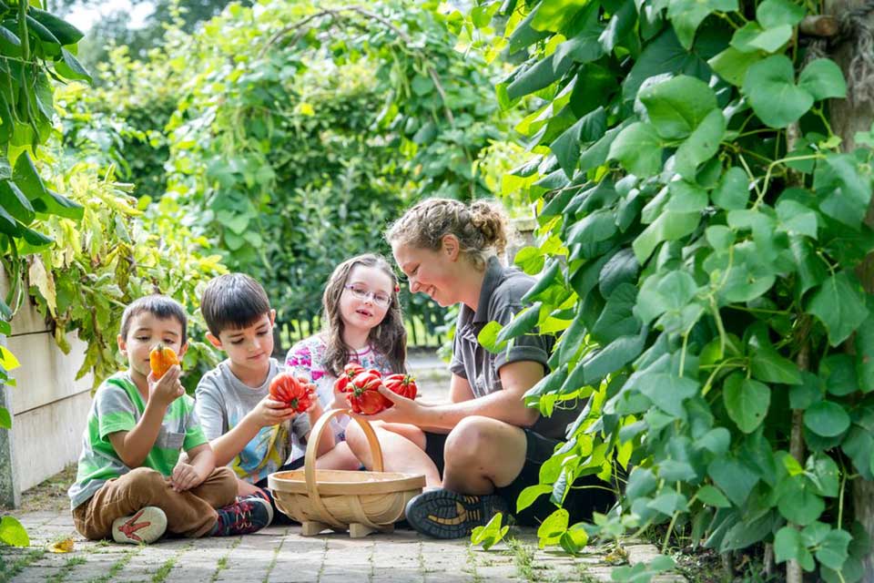 Course Details Rhs Campaign For School Gardening