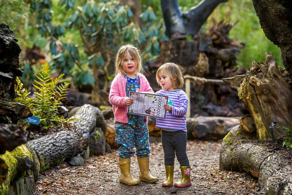 Course Details Rhs Campaign For School Gardening