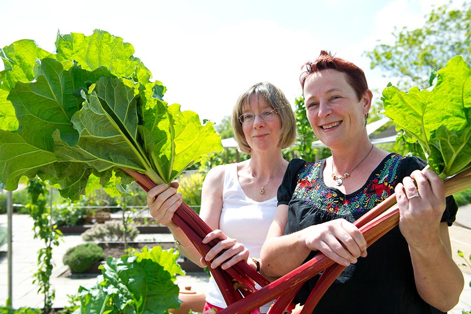 Course Details Rhs Campaign For School Gardening