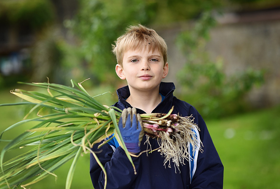 William Rae Rhs Campaign For School Gardening