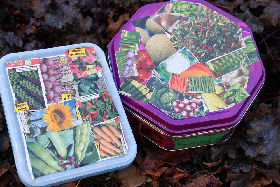 Seed storage box / RHS Campaign for School Gardening