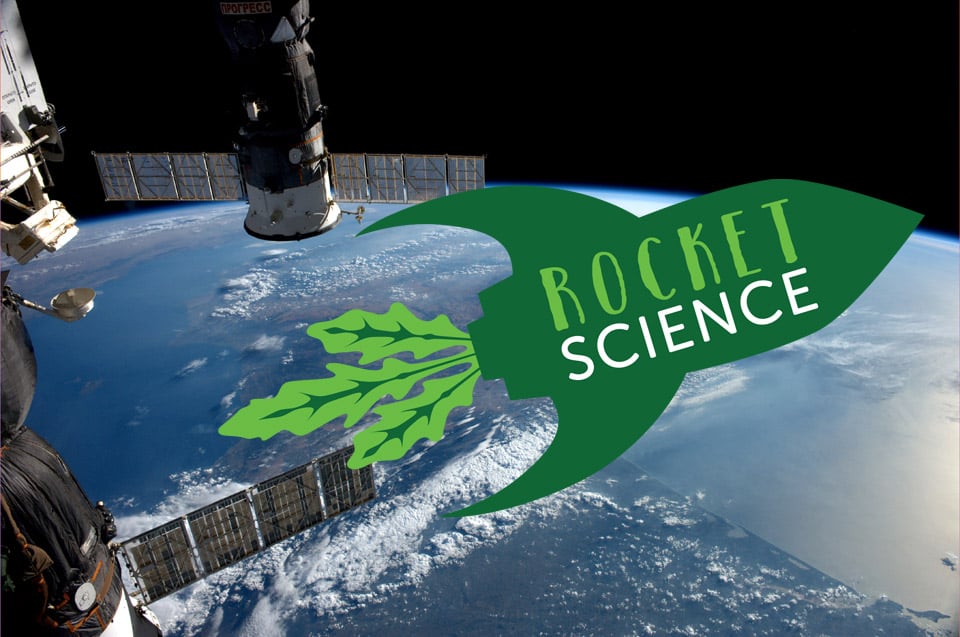 Rocket Science Experiment Overview / RHS Campaign for School Gardening Rocket Science Experiment Overview / RHS Campaign for School Gardening