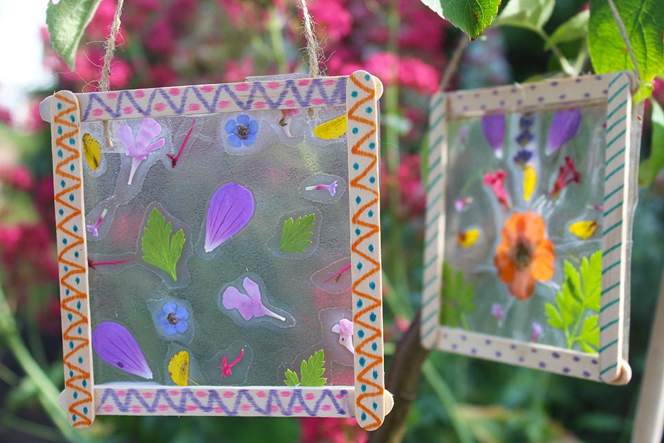 The Basic Art of Flower Pressing - FeltMagnet