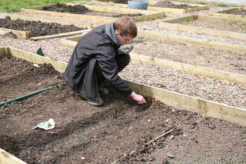 How to sow seeds outdoors / RHS Campaign for School Gardening