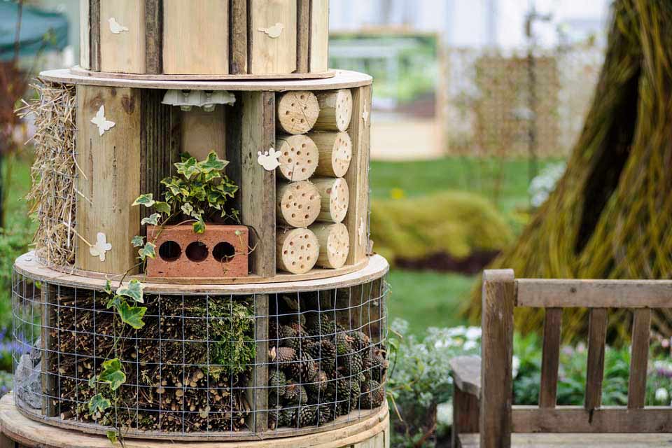 creative vegetable garden design