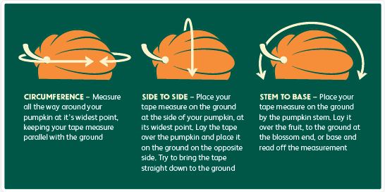 Estimating the weight of a giant pumpkin / RHS Campaign for School ...