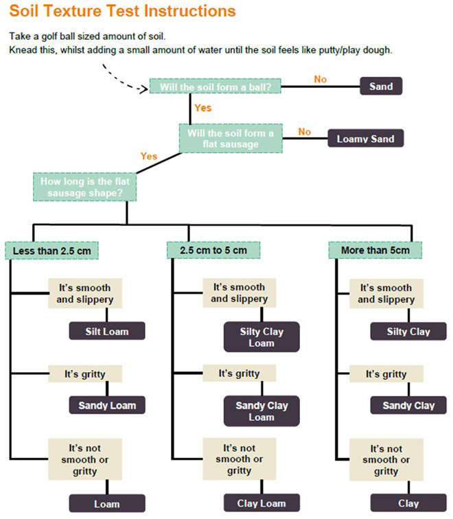 Soil Texture Test As Flow Diagram Rhs Campaign For School Gardening