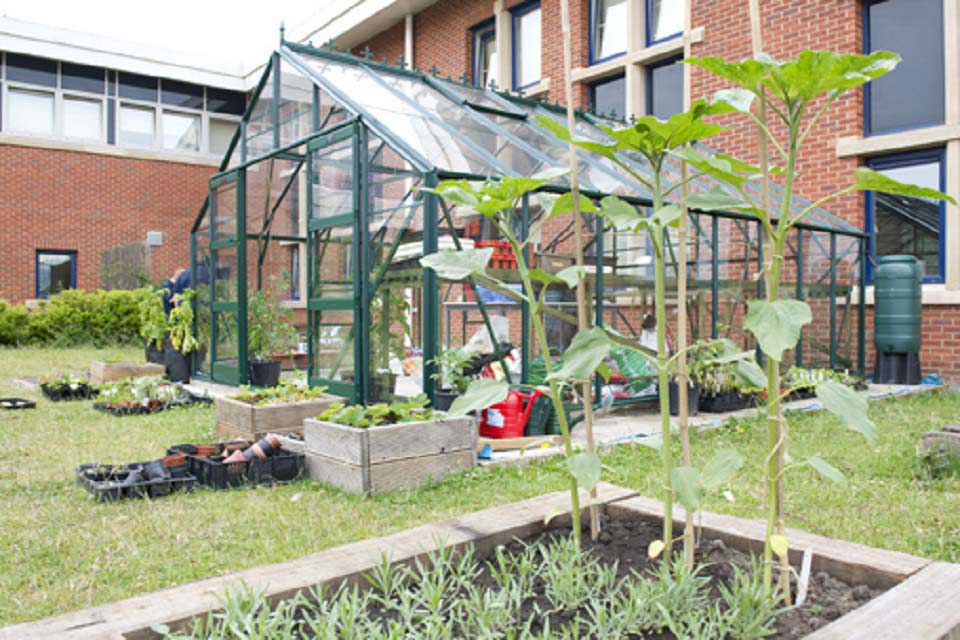 Image result for greenhouses school garden"