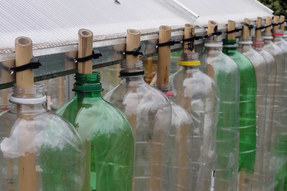 Building a bottle greenhouse / RHS Campaign for School Gardening